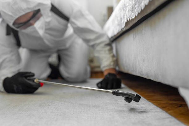 Professional Termite Control technician working in Milroy, PA