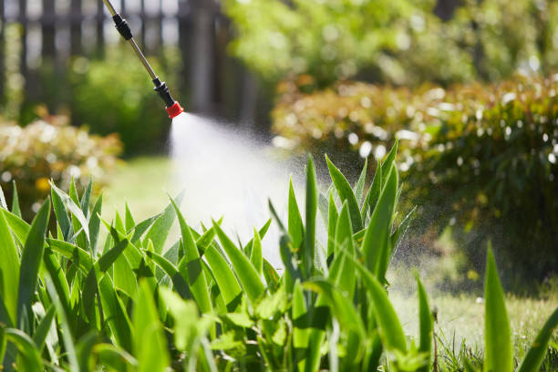 24/7 Emergency Termite Control experts in Milroy, PA