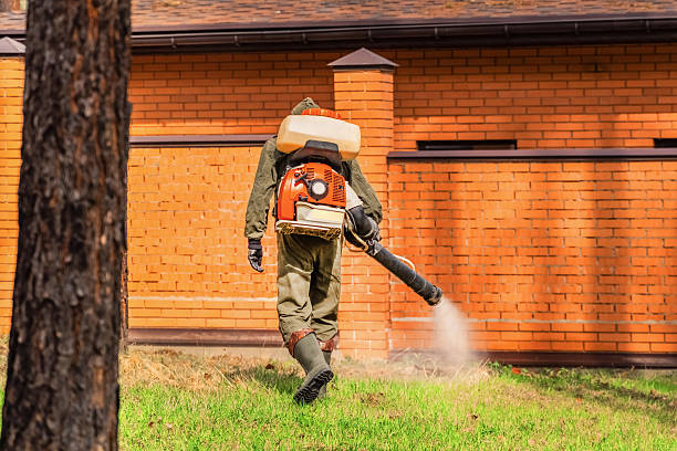 Top rated local Termite Control specialists in Milroy, PA